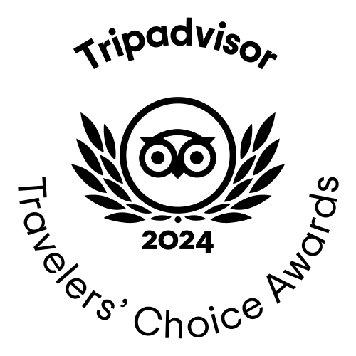 TripAdvisor Travelers Choice Awards 2024 badge with owl logo and laurel wreath emblem